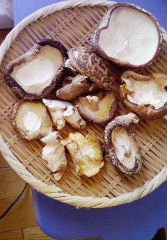 椎茸